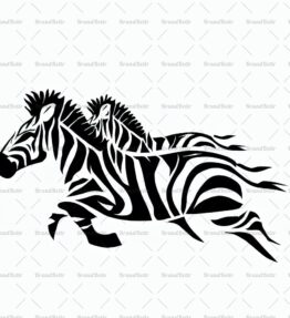 Herde von laufenden Zebras